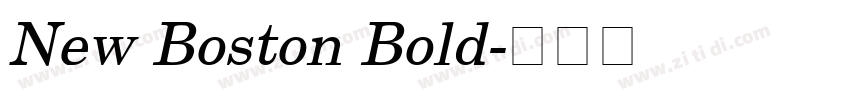 New Boston Bold字体转换